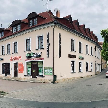 Guesthouse Zlaty Hrozen Česká Lípa Zewnętrze zdjęcie