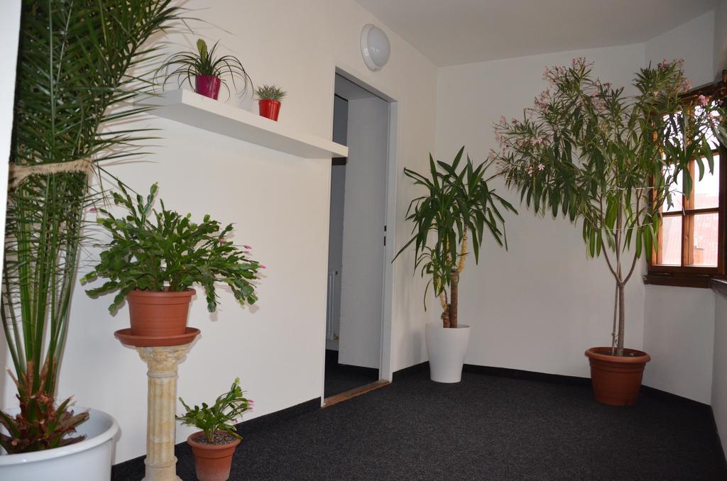 Guesthouse Zlaty Hrozen Česká Lípa Zewnętrze zdjęcie