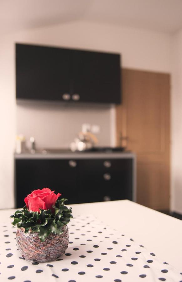 Guesthouse Zlaty Hrozen Česká Lípa Zewnętrze zdjęcie